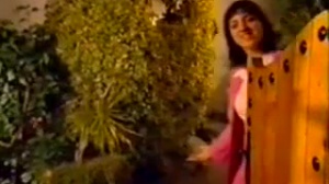 Les Spots publicitaires du RGPH 2004