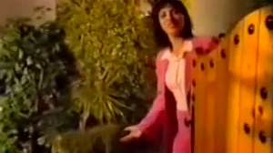 Les Spots publicitaires du RGPH 2004